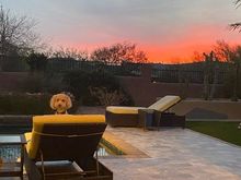 This is Poppy’s sister, Sunny. So, we’ll call this “Sunny and Sunset”