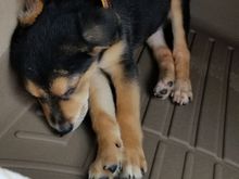 I'm tired after a 20 hour trip from AL