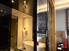 See-through window and sliding door
