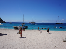 Shell Beach