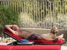 House guest with Poppy, who says it’s the first day this spring she’s felt like catching some rays. 