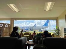 Terminal views