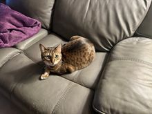 Ariel says it’s her seat now. “You snooze, you lose lady.”