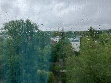 Rainy outdoor view