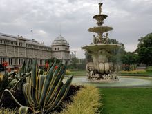 Carlton gardens
