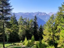 Passing through woodlands on the way up to La Crevasse 