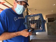 We picking her up from the vet today. 