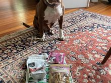 Kazak is patiently waiting for his snacks from Spain