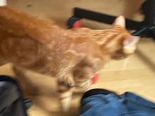He’s walking around. 