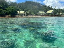 Swimming in Fiji