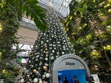 Alipay Tree
