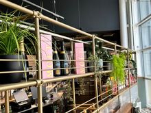 Bar back