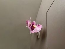 Eat your heart out BA First passengers; a flower in the lavatory 