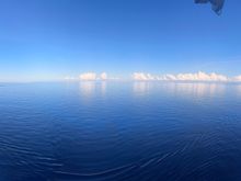 My morning view 