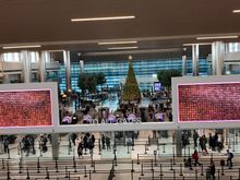 Security and Christmas Tree 