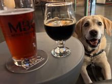 L- Cherry Belgian Ale (4%)
R- Sherwood Coffee Stout (10.5%)

the previous customer got the last of the only IPA on tap, and this was the only other option that had even a hint of appeal to me … that said, both were *really* good 