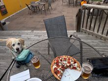 L- Bugeater
R- Lagunitas IPA