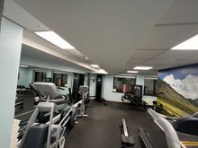 Gym in the basement. Both machine and free weights