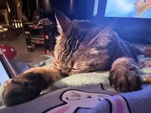 I’ve been under the weather the last couple of days.  Thankfully my nurse has been at my side the entire time.  