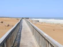 Cape Cross Seal Reserve