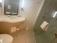 Small but usable bathroom. 