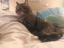 Fred has tonight’s nursing shift.  