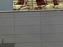 Five tails in the shop at YHZ. 