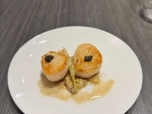 Scallops