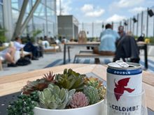 The newly opened Chase Sapphire Terrace lounge in Austin Texas airport. 
