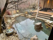 View of the backyard from walkway
