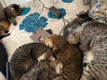 Snow day pile up at our house.