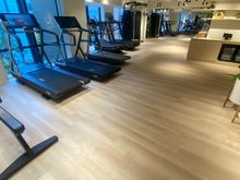 Gym was decent 