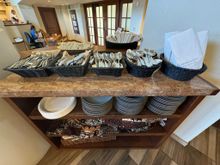 Yes, there were paper plates in use, but mainly for "to go" and families with young children. 