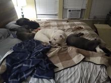 They left me a sliver of bed. 