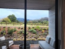 Vineyard view from room 312