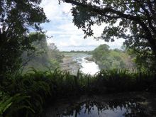 View of Devil's Cataract through the rainforest