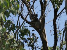 Last encounter before going back to Melbourne