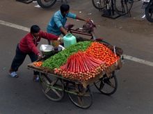 Jaipur Vendors 2010 FEB 15