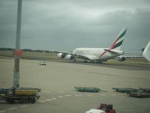Sydney 146