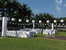 Wedding reception