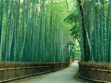 My Post Pictures