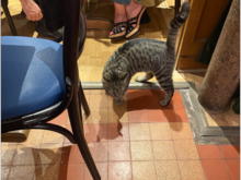 Walk-in turned away at the door. He should've made a reservation...
