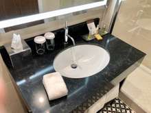 sink and vanity area.