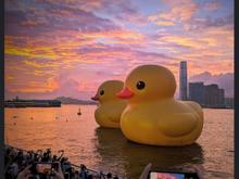 Yeah. Don't ask why...