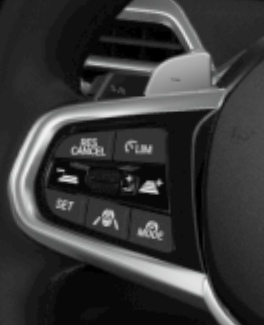 BMW 3-series steering wheel with DAPP