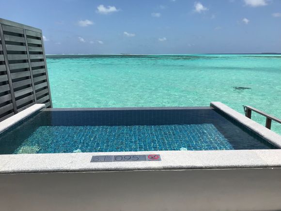OWV Pool