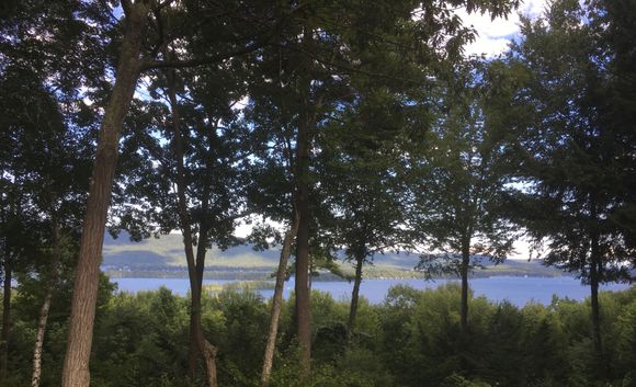 As I sit here on my deck in the Lake George area I agree that there is nothing like the Adirondacks.  Now if I could get my dinner to look like the food from Lake Placid Lodge!