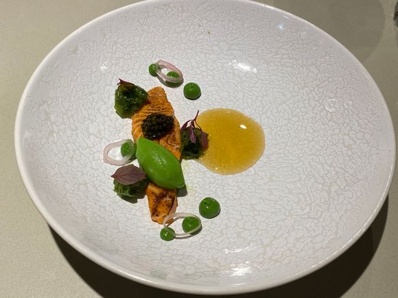 Beautifully plated salmon 