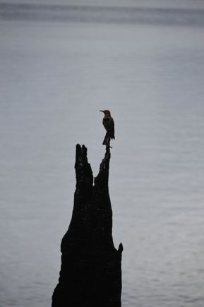Jenny Lake