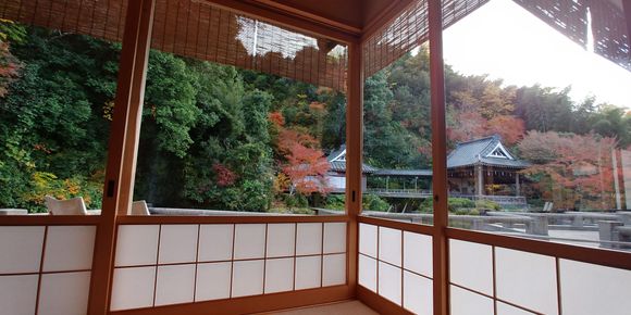 view from lounge